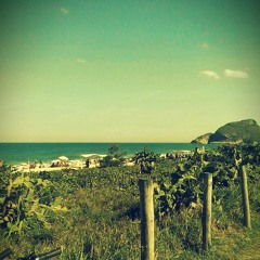 gisageo
