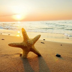 Fefang AGIMAT SoundFlash