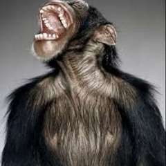 munkeyjooce