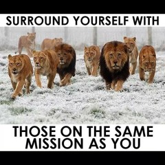 cant lose entertainment