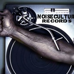Noise Culture Records