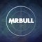 Mr.Bull