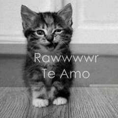 Olmeya Mireyza Maldonado