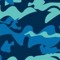 oceancamo