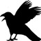 Kill Crows