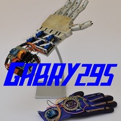 Gabry295