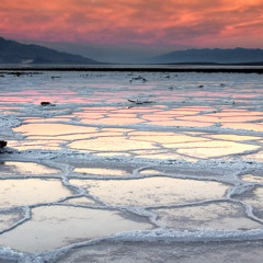 TRENDER Sling T.W.C.