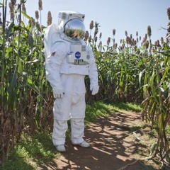 Space Maize