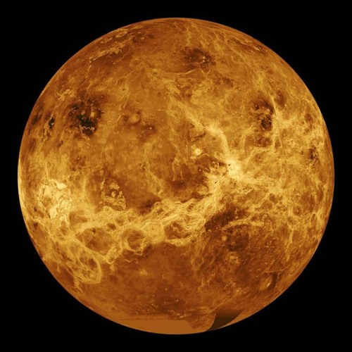 Gold of Venus’s avatar