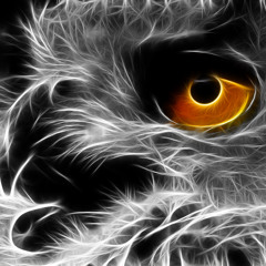 Civanaes (周龙宇)