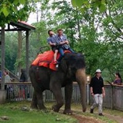 Tyler Ashton Hebbron