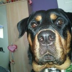 Thalassa 'Tally' Hopkins