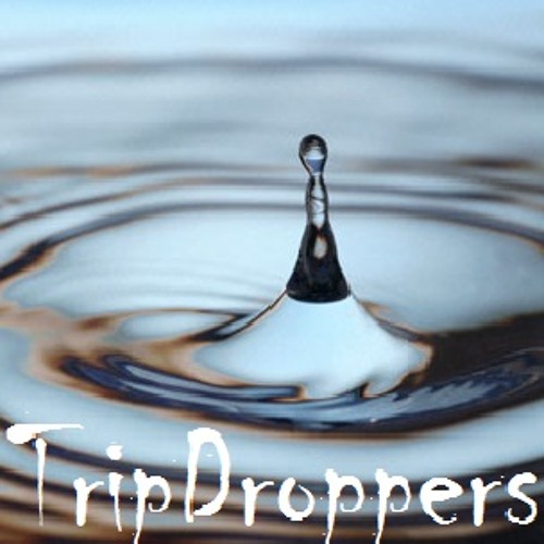 TripDroppers’s avatar