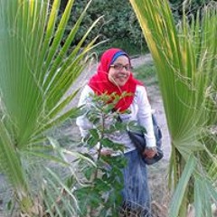 Wessamsoso Ali