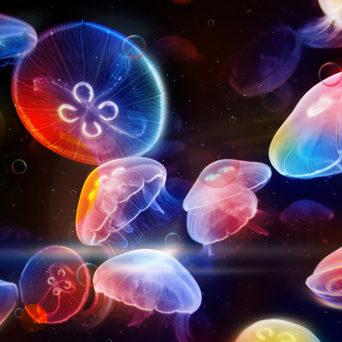 Intergalactic Jellyfish’s avatar