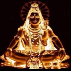 Anubhav Midha