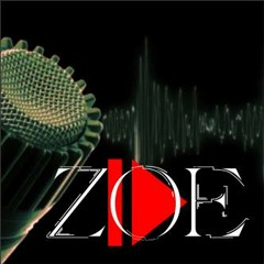 ZOE RECORD STUDIO