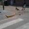 Kevinam