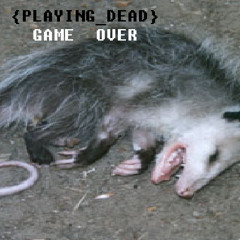 [PLAYINGDEAD]-P.SWEENEY
