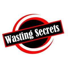 WastingSecrets