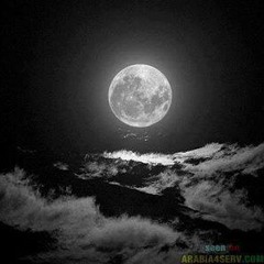 wael772