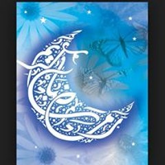 Haseeb Tariq 14