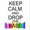 THE DUBSTEP BOSS