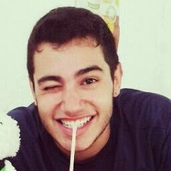 Pedro Arthur Dallmolim