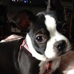 Amanda Cocco Cottman