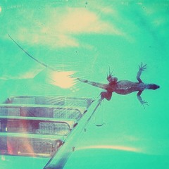 suspension