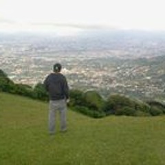 Roy Mora 3
