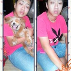 Aof Manochar Jommeunwai