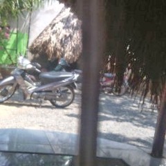 tuan ta
