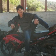 Việt Trần Nguyễn Hồng