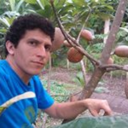 Mauricio Zamora Green’s avatar