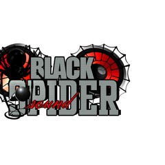 Blackspider International