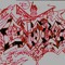 Joe Garza02