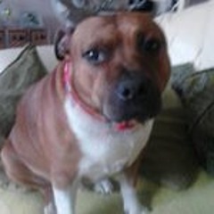 Frank King-chav Carrick