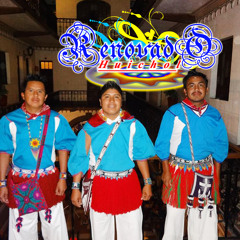 Renovado Huichol