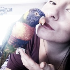 NahannOnNortoriiOus!