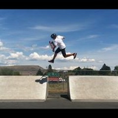 Bones