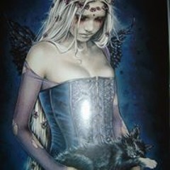Cat Panthera