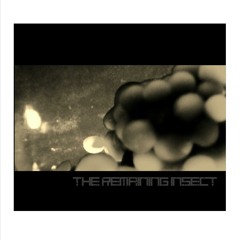THE REMAINING INSECT