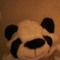 panda2001