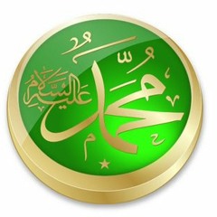 ahmed abdelhady 34