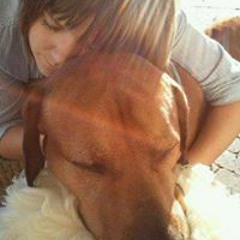 Eva-Kristin D. Busch