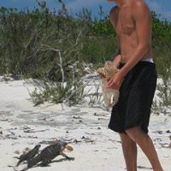 Michael Mansfield 13