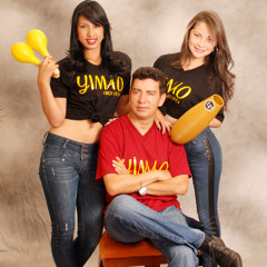 YIMAO ORQUESTA