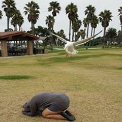 Sheana Marie Callo-Sales