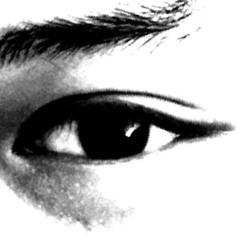 Snow Flowers (雪の華)